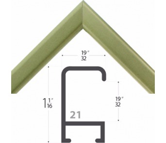 N21-249 OLIVE
