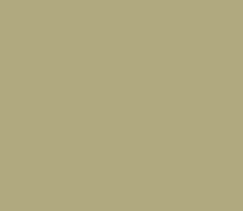 SAND PEBBLE 178