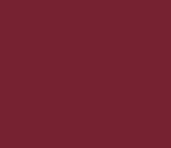 MEDIUM BURGUNDY 242