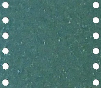 NEPTUNE GREEN METALLIC 192