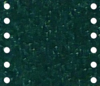 FOREST GREEN METALLIC 167