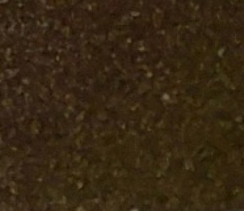 LIGHT BROWN METALLIC 161