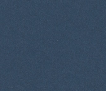 C81550