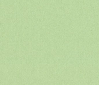 WASABI 32X40 (C1518)