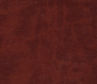 C67308