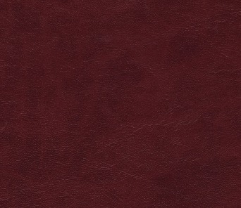 C67309
