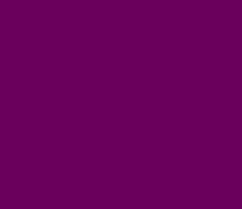 TRANSLUCENT VIOLET 040