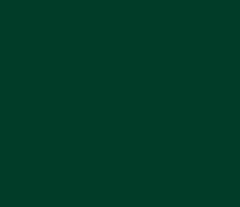 TRANSLUCENT DARK GREEN