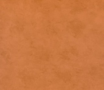 B878454