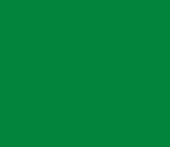 9000-2015-106 MEDIUM GREEN