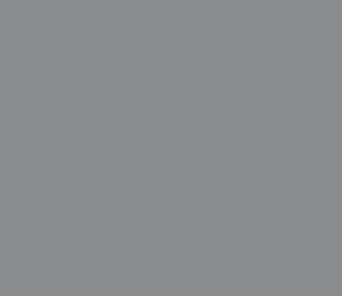 9000-2015-007 SILVER