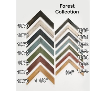 Forest Collection