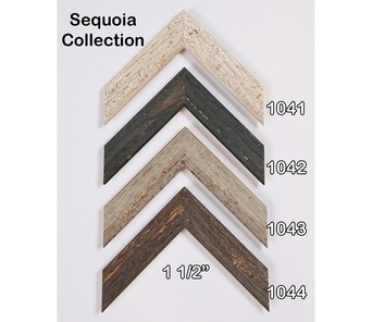 Sequoia Collection