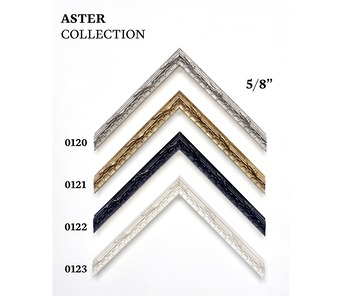 Aster Collection